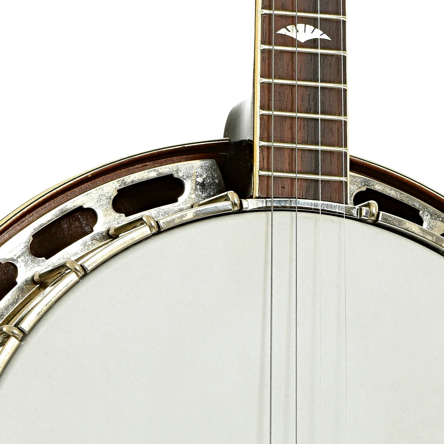Recording King (by Gibson ) M-6 Tenor Banjo (1938) - Image 6