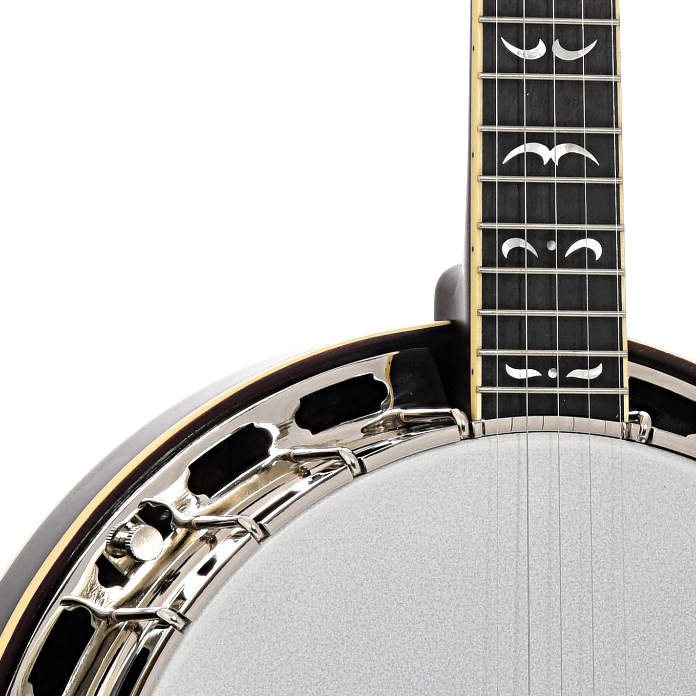 Recording King Madison Resonator Banjo, Maple - Image 7