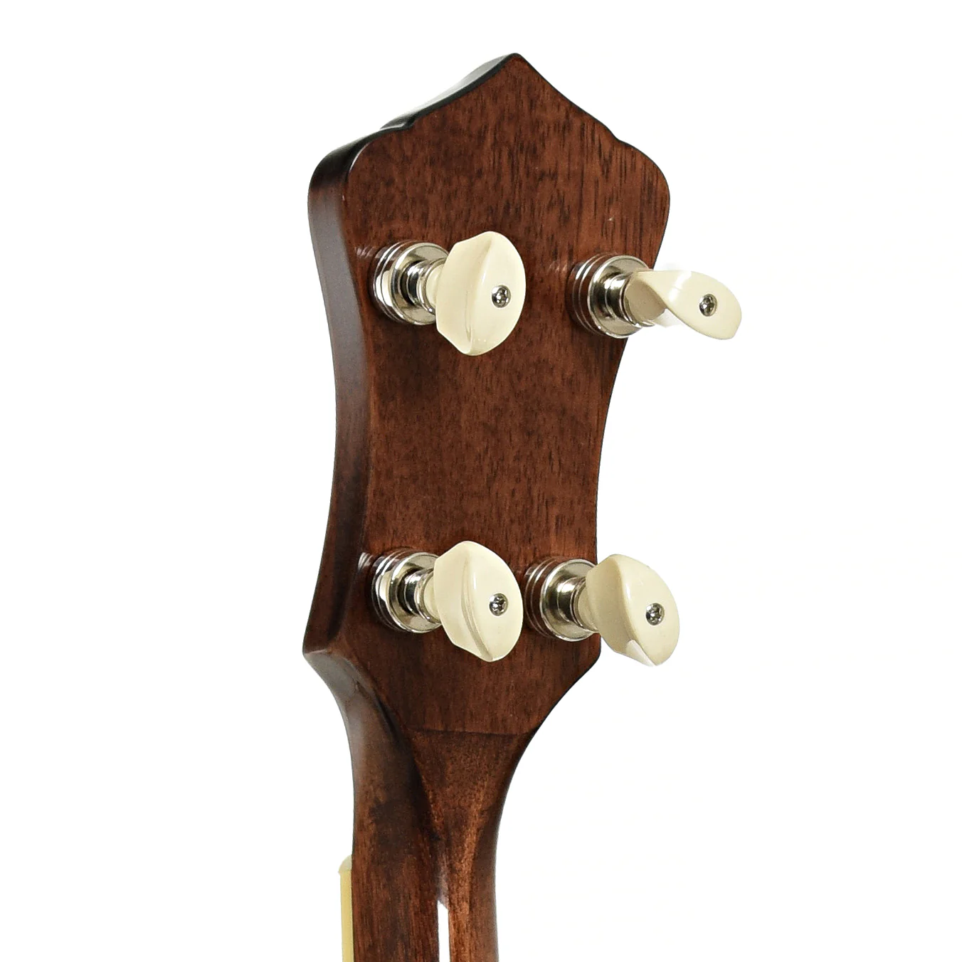 Recording King Madison Resonator Banjo, Mahogany - Image 9