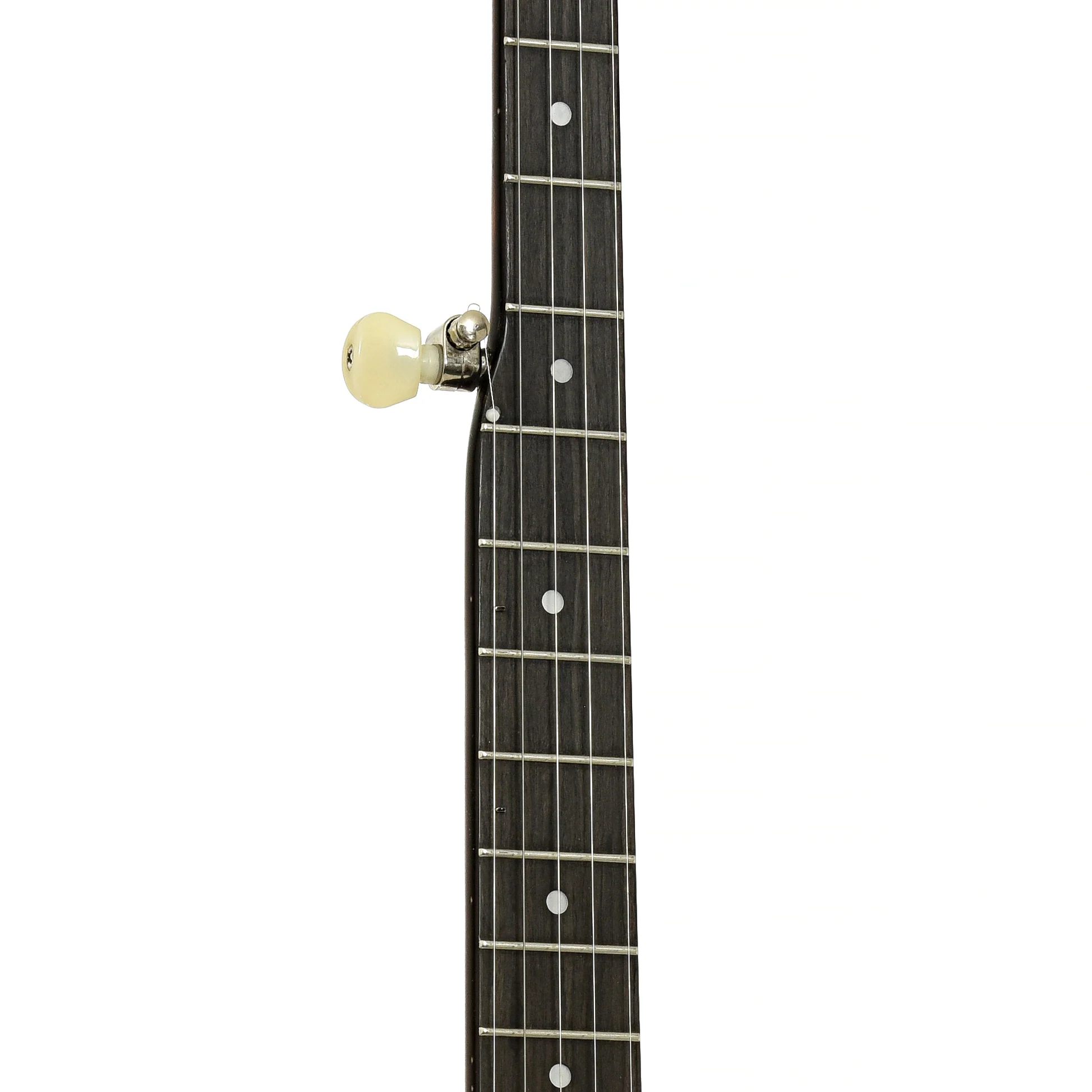 Recording King OT-25 Madison Openback Banjo (2020) - Image 7
