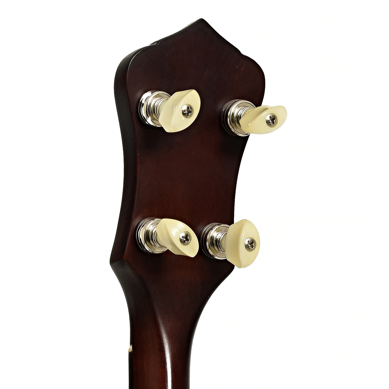 Recording King OT-25 Madison Openback Banjo (2020) - Image 9