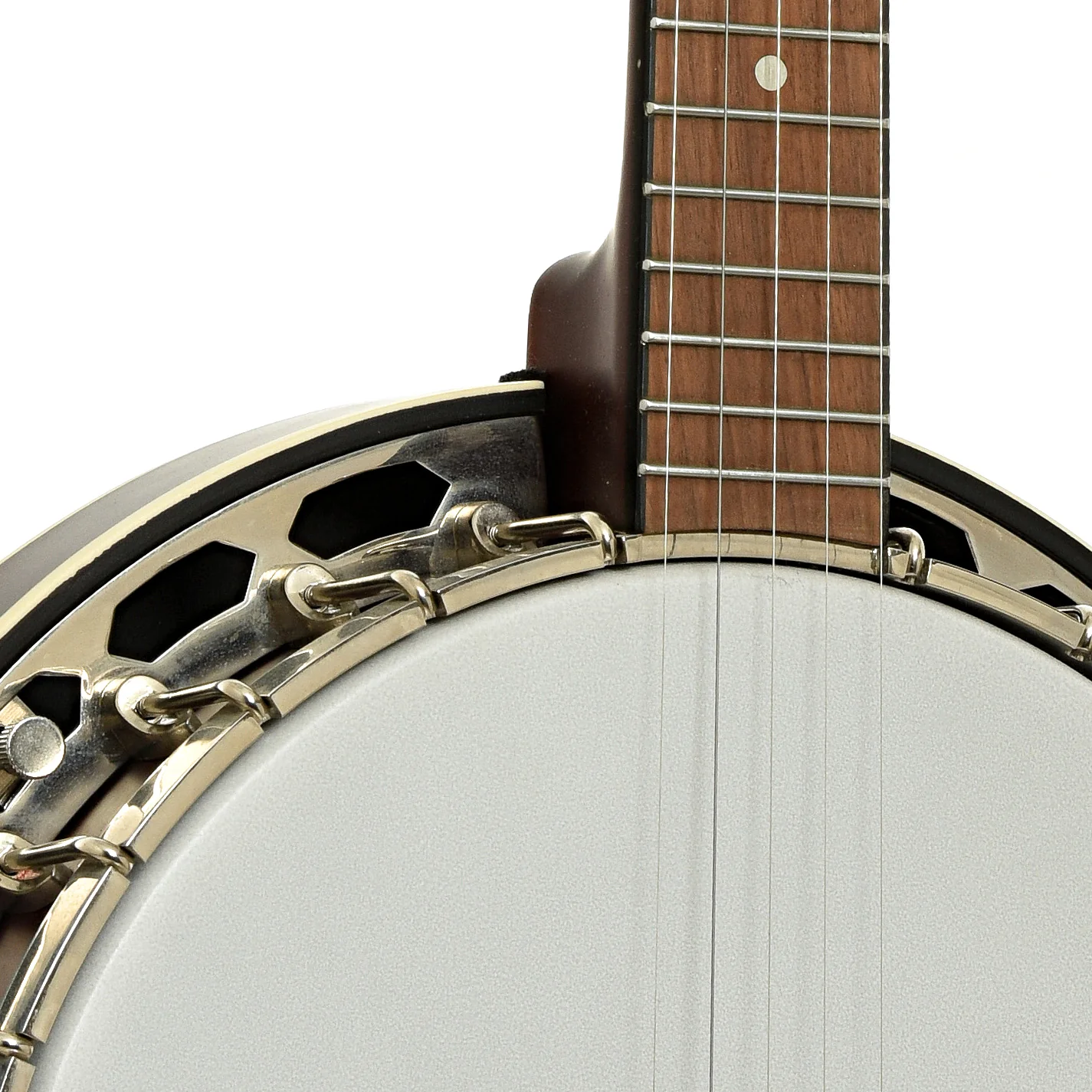 Recording King RKH-05 Dirty 30s Resonator Banjo (2020) - Image 6