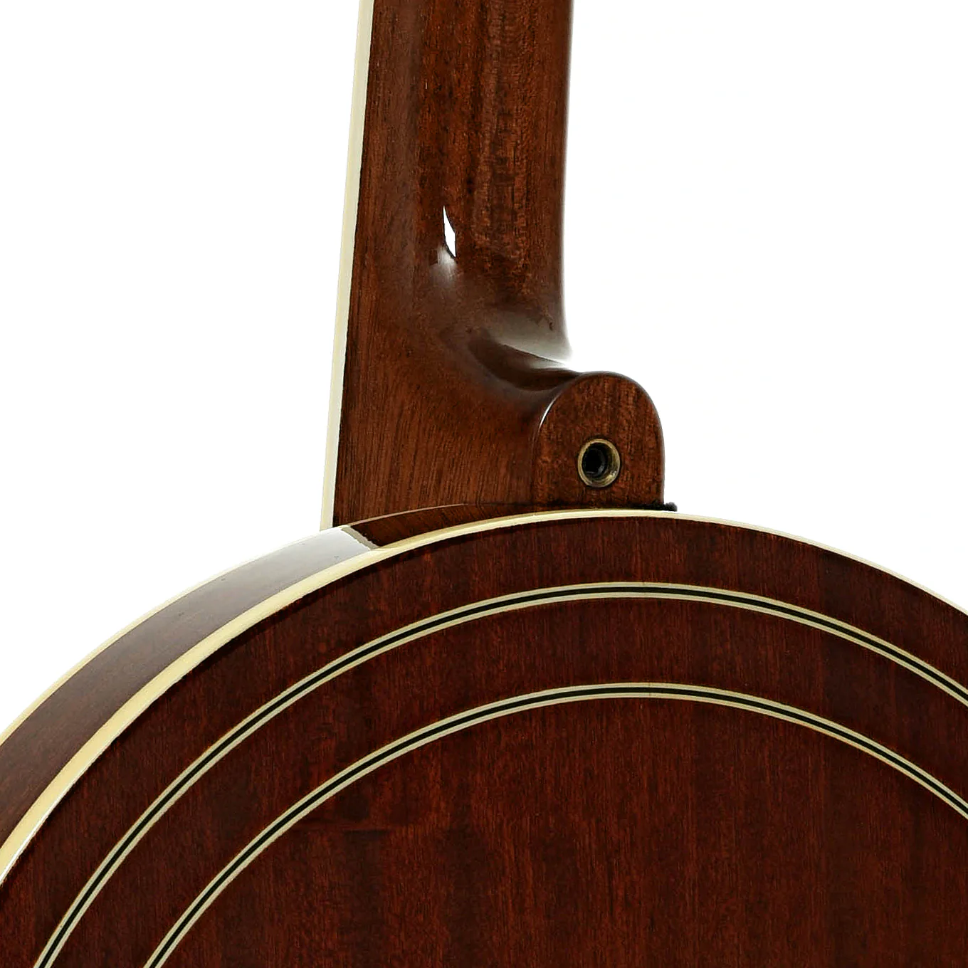 Recording King Nechville Conversion 5-string Resonator Banjo (c.2000) - Image 12