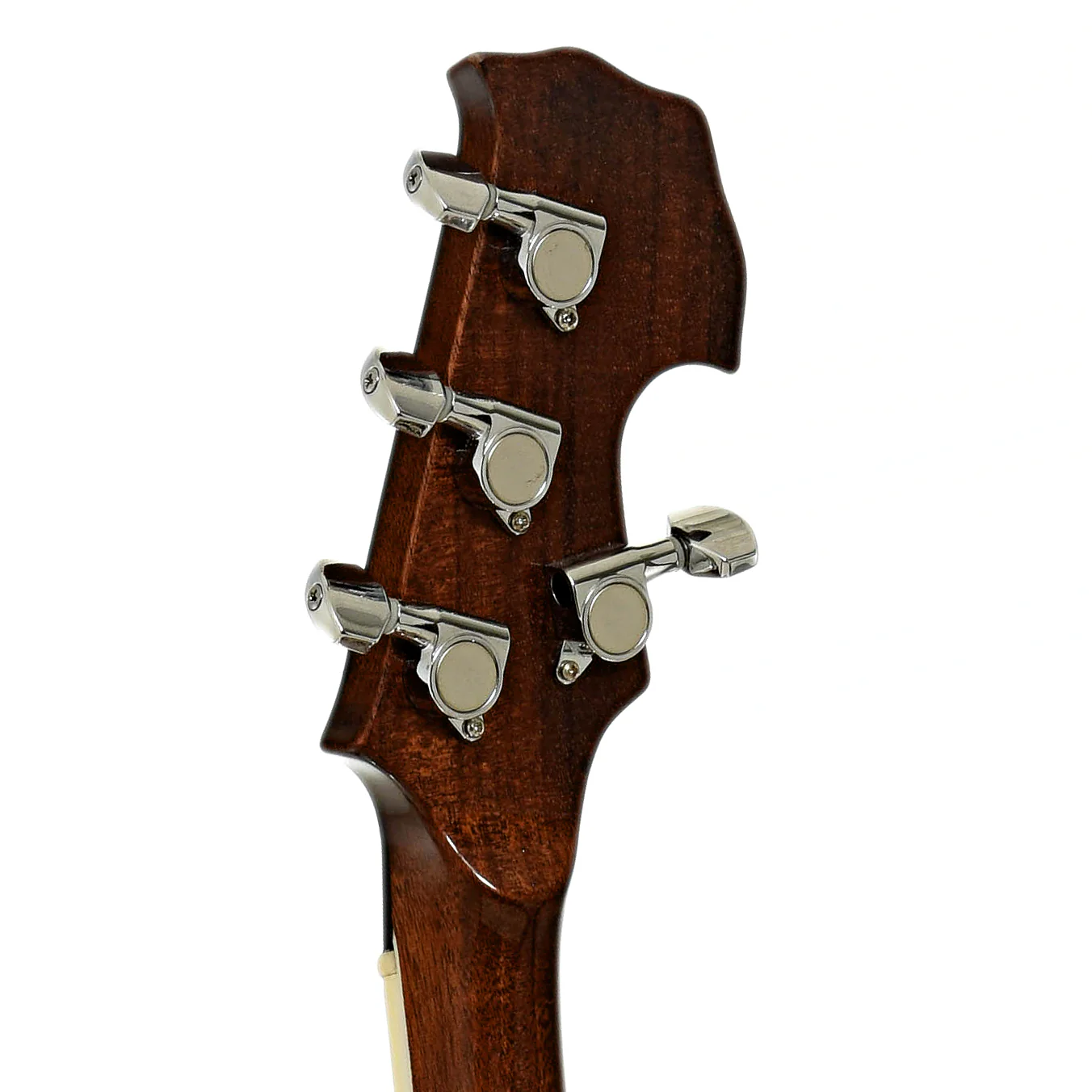 Recording King Nechville Conversion 5-string Resonator Banjo (c.2000) - Image 9