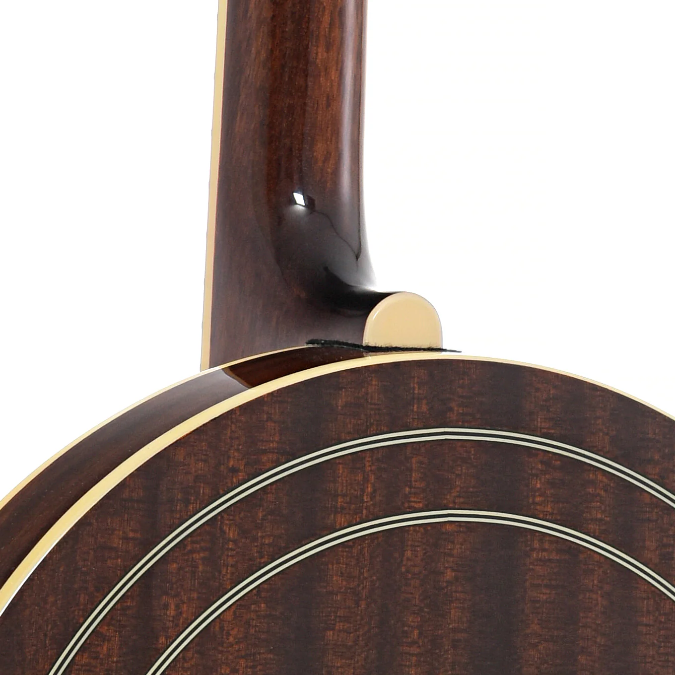 Recording King Songster Resonator Banjo - Image 10