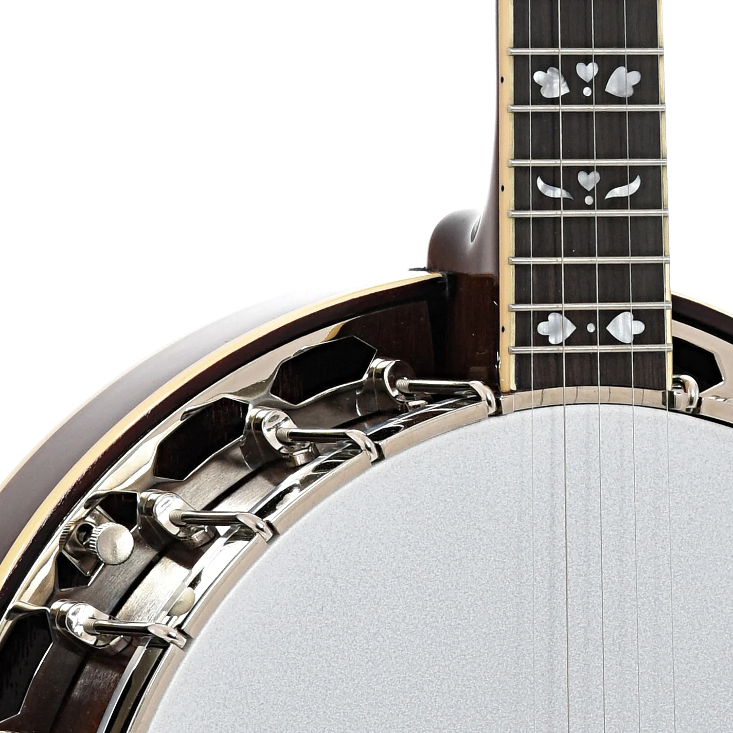 Recording King Songster Resonator Banjo - Image 6