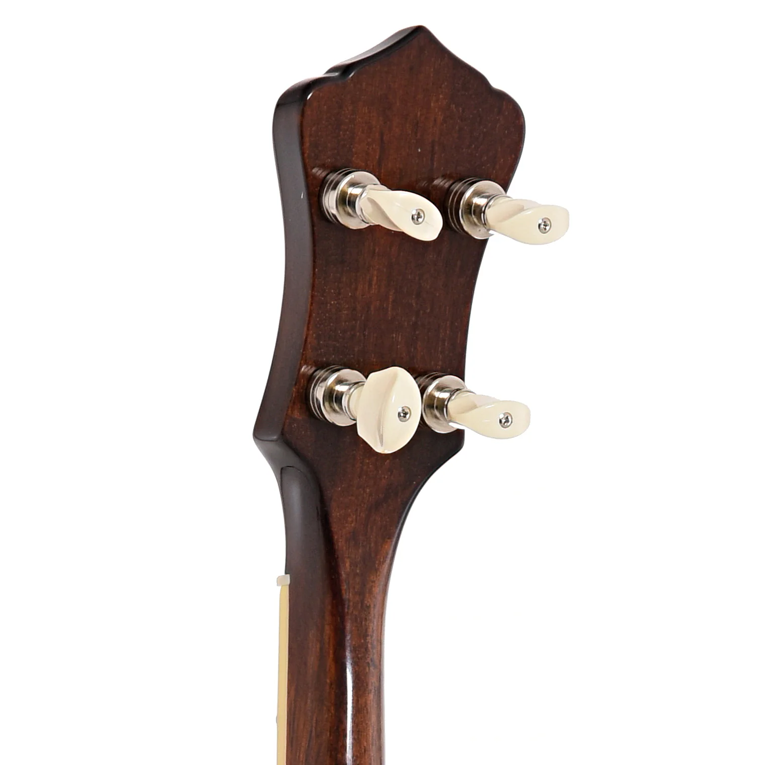 Recording King Songster Resonator Banjo - Image 9
