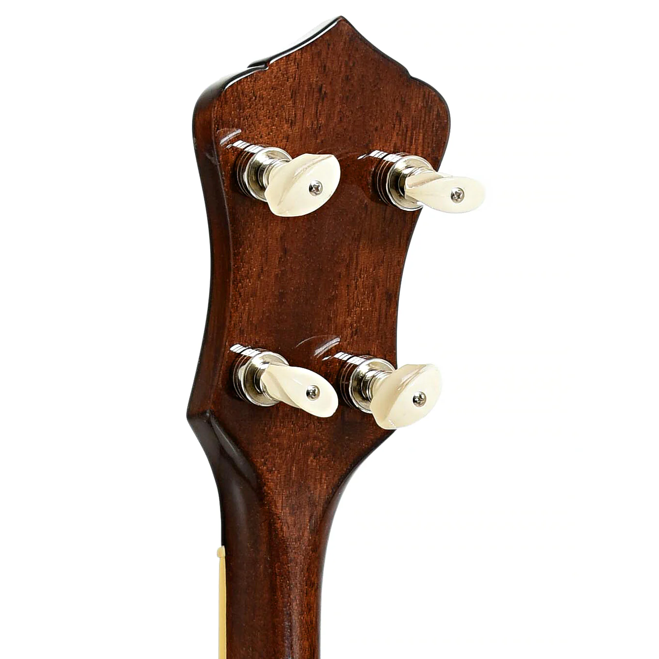 Recording RK-R36-BR Madison Deluxe Resonator Banjo (2023) - Image 10