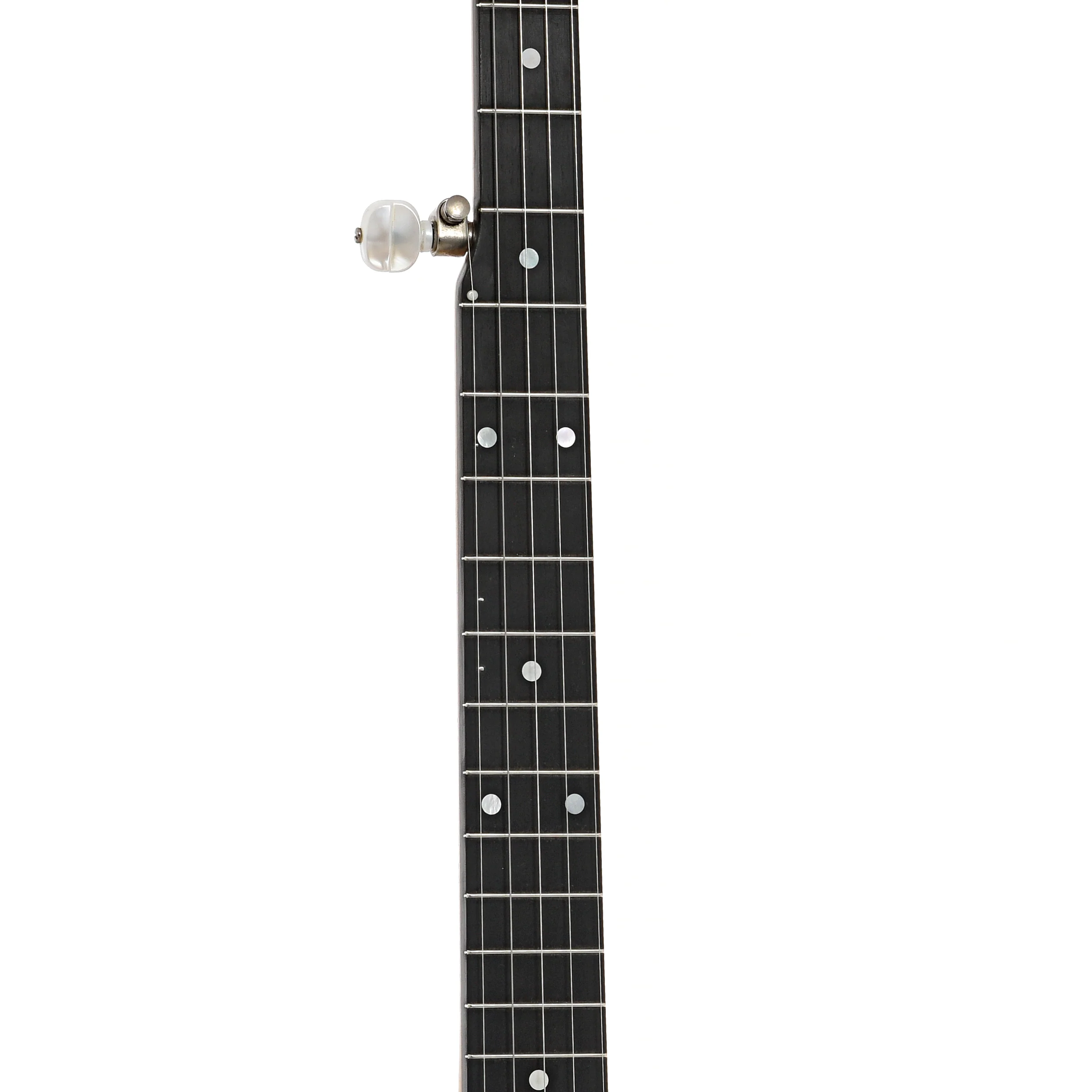 Bart Reiter Regent Open Back Banjo (2008) - Image 7