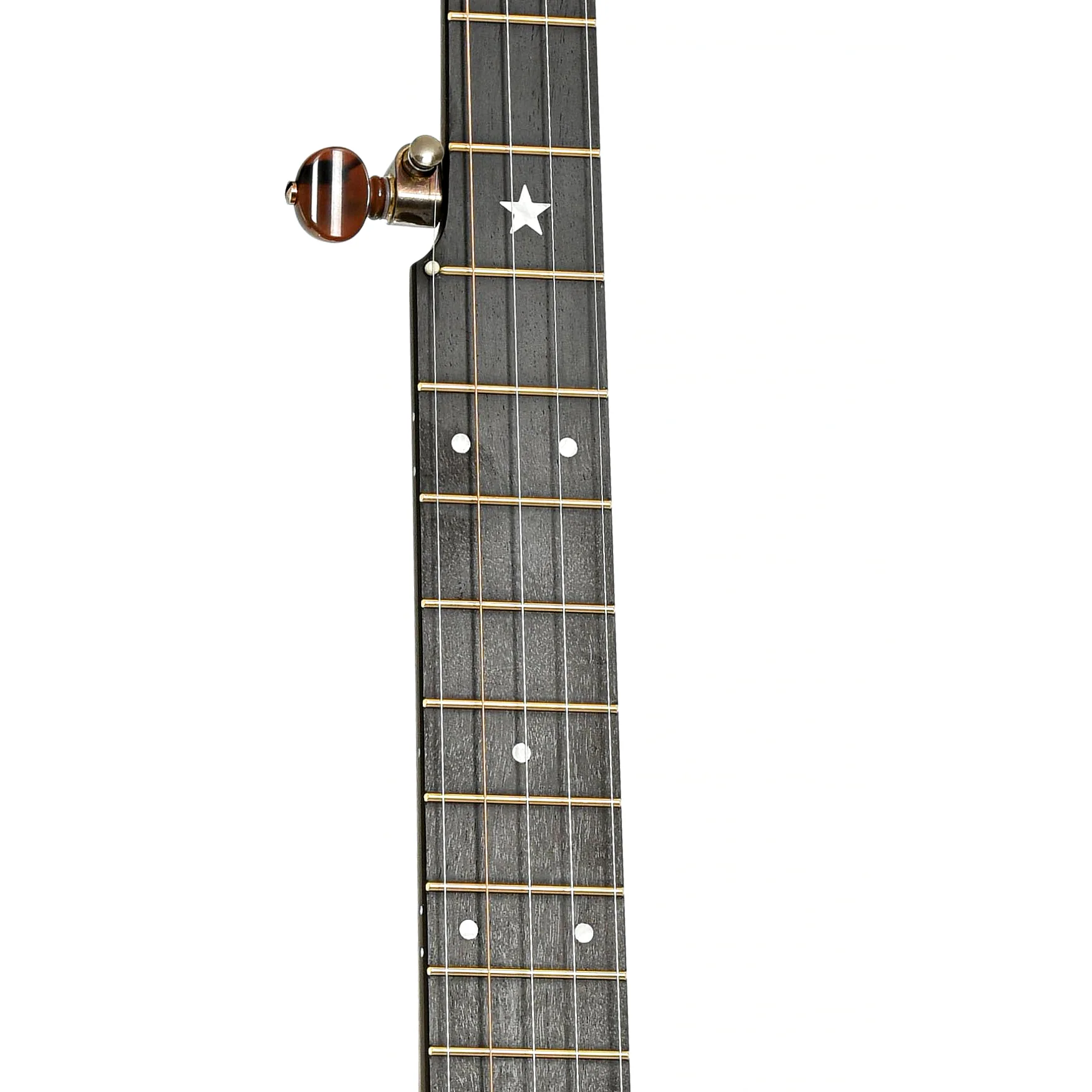 Rickard Dobson 12in Openback Banjo & Case, Walnut - Image 5