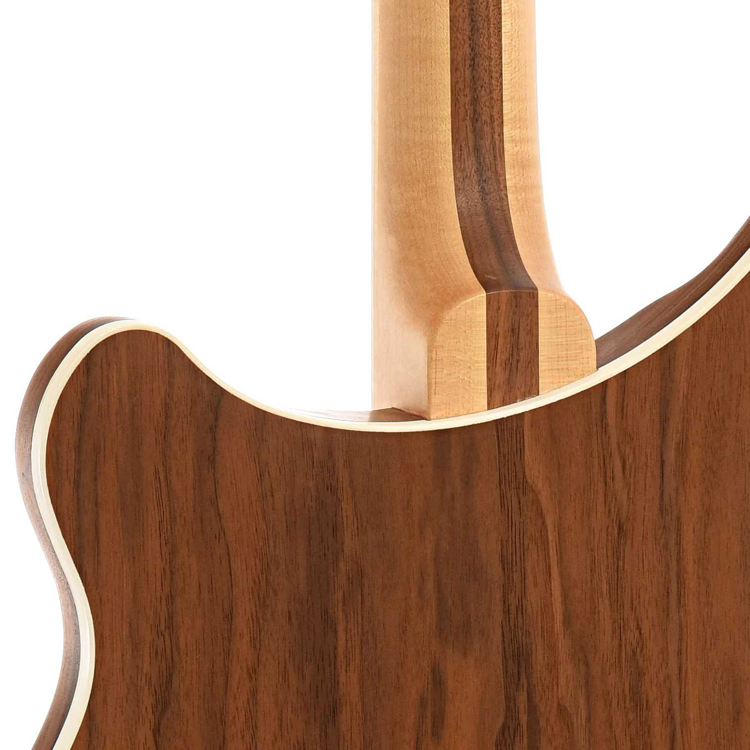 Rickenbacker 360W Semi-Hollow Electric Guitar (2014) - Image 10