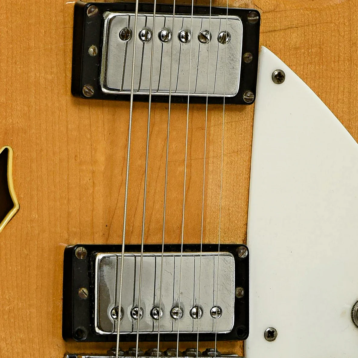 Rickenbacker 360 Hollowbody Electric Guitar (1966) - Image 6