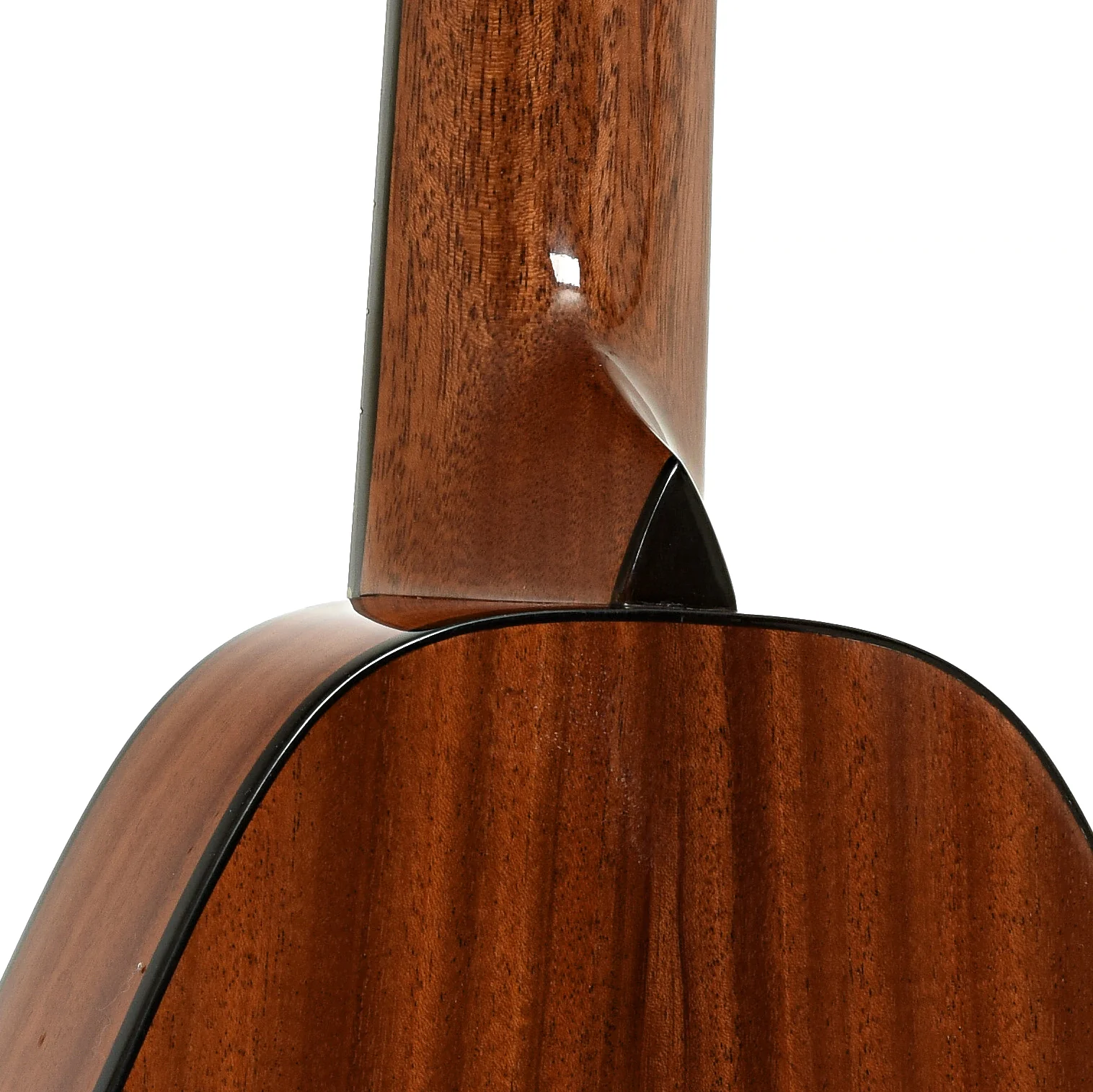 Romero Creations Daniel Ho 6 String Signature Model Guitar/Uke (2020) - Image 10