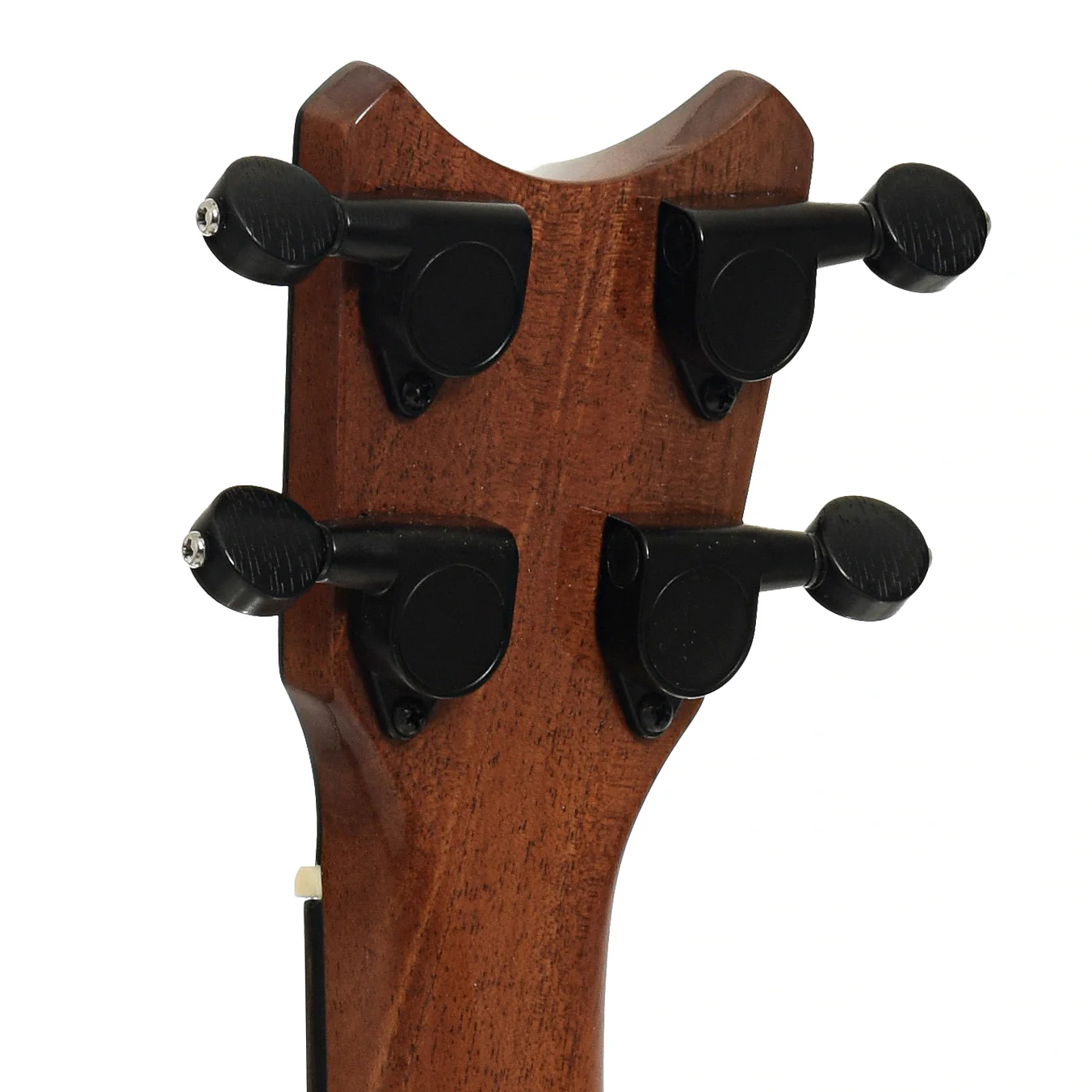 Romero Creations Tiny Tenor Spalted Mango Ukulele (2023) - Image 8