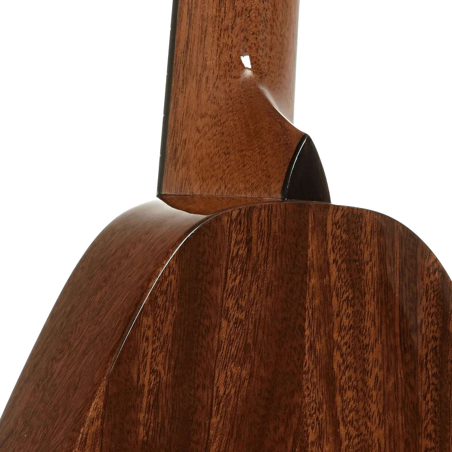 Romero Tiny Tenor Ukulele (c.2020) - Image 10