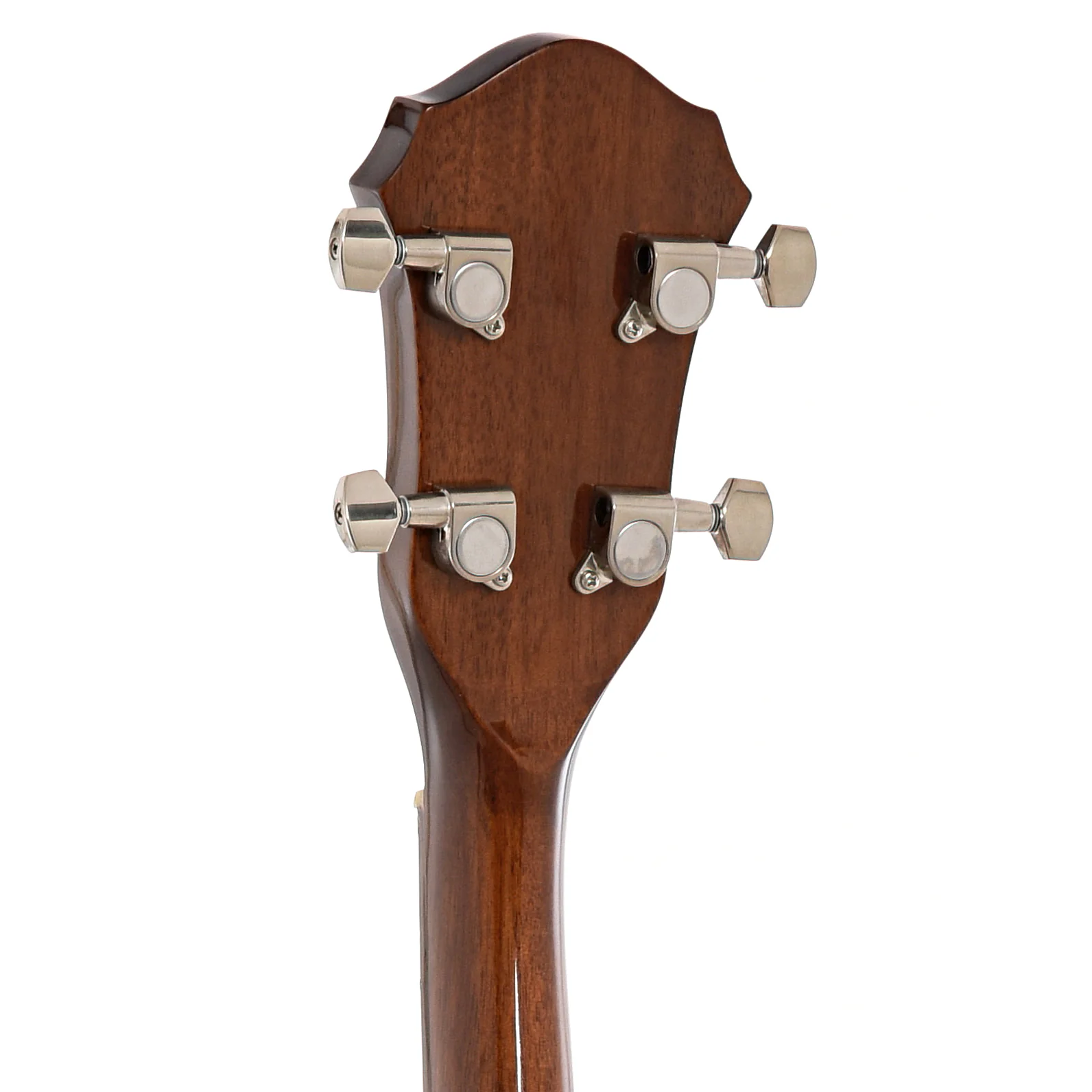 Rover RB-20P Plectrum Banjo (2020) - Image 8