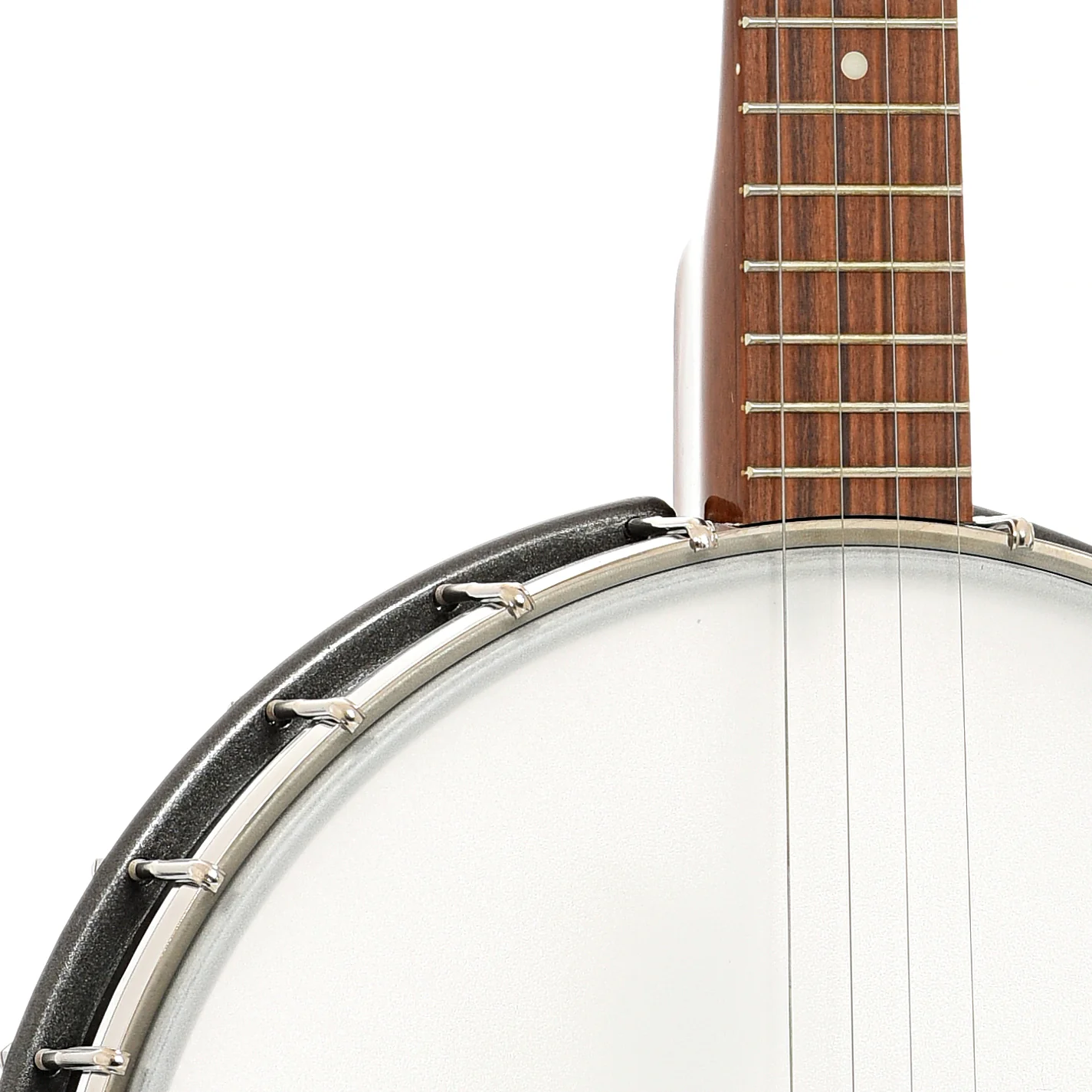 Rover RB-20P Plectrum Openback Banjo (2020) - Image 6