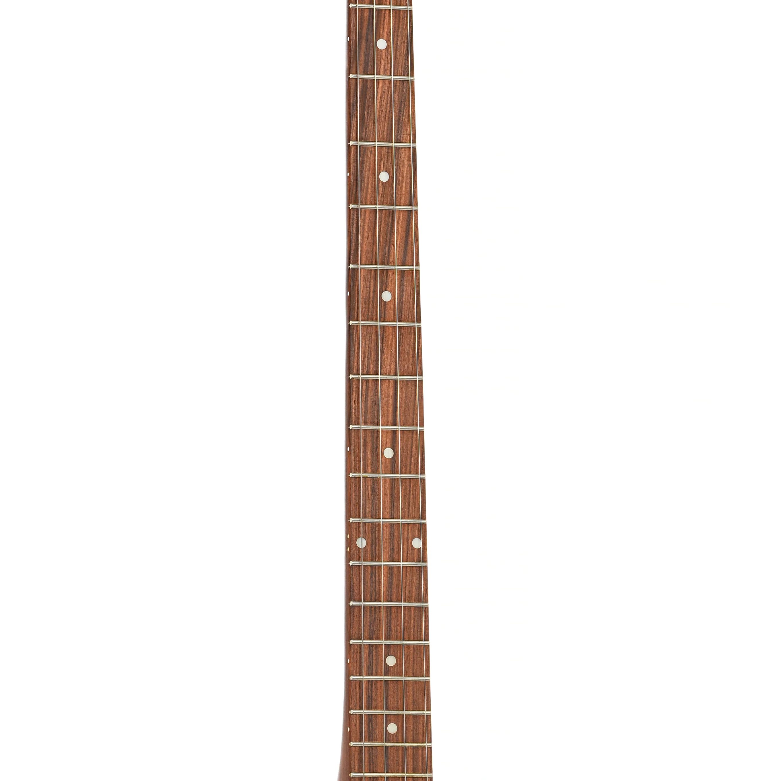 Rover RB-20P Plectrum Openback Banjo (2020) - Image 7