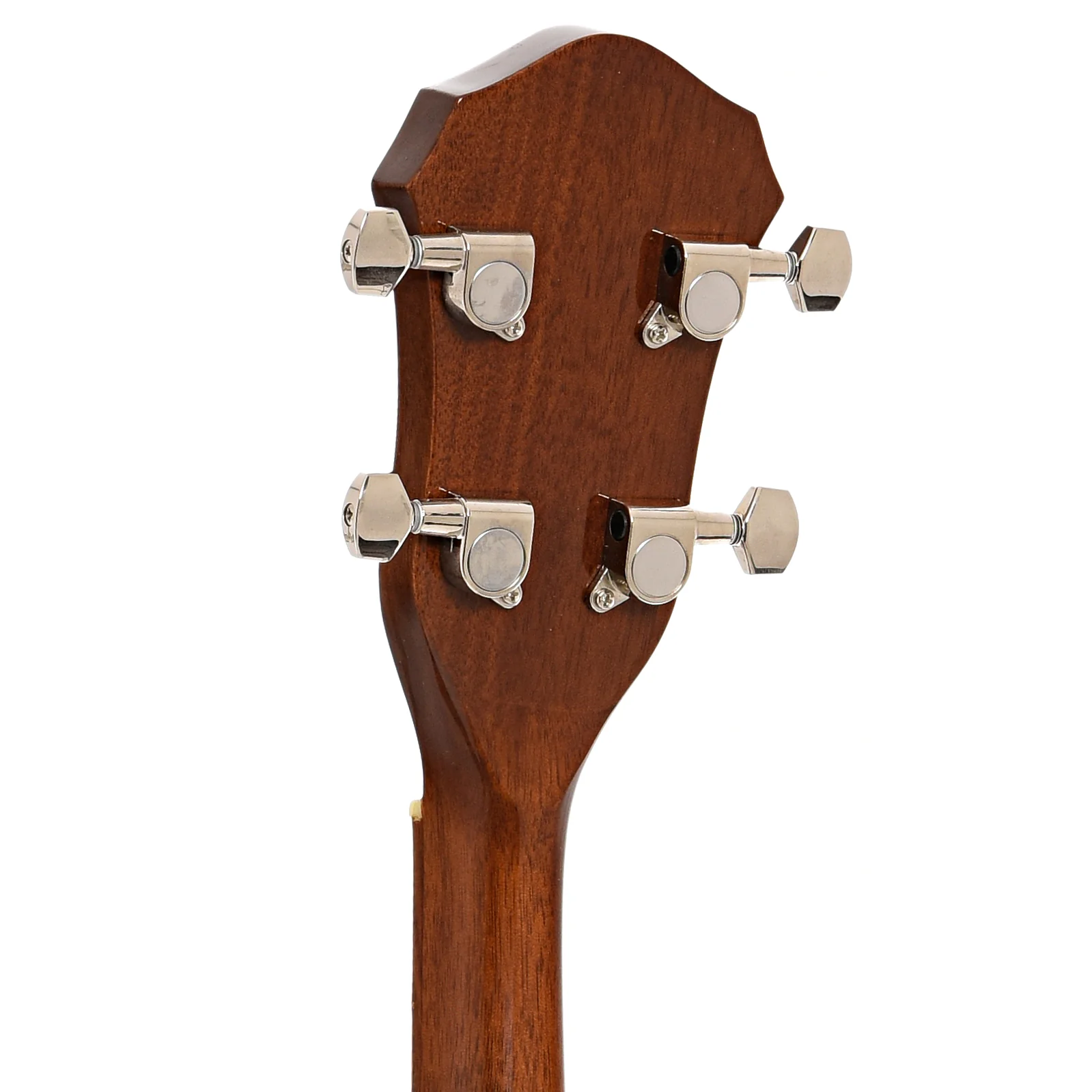 Rover RB-20P Plectrum Openback Banjo (2020) - Image 9