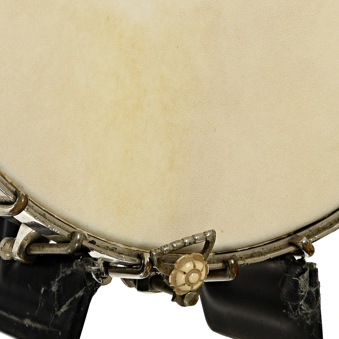 S.S. Stewart Lady Stewart No.2 Openback Banjo (c.1894) - Image 5
