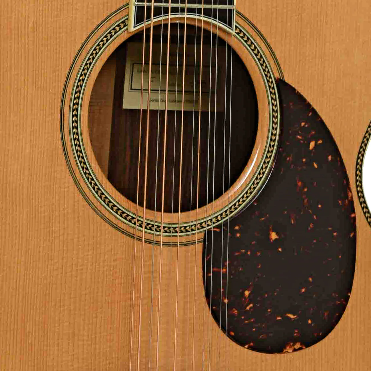 Santa Cruz Brazilian F Custom 12-String Acoustic Guitar (1998) - Image 6