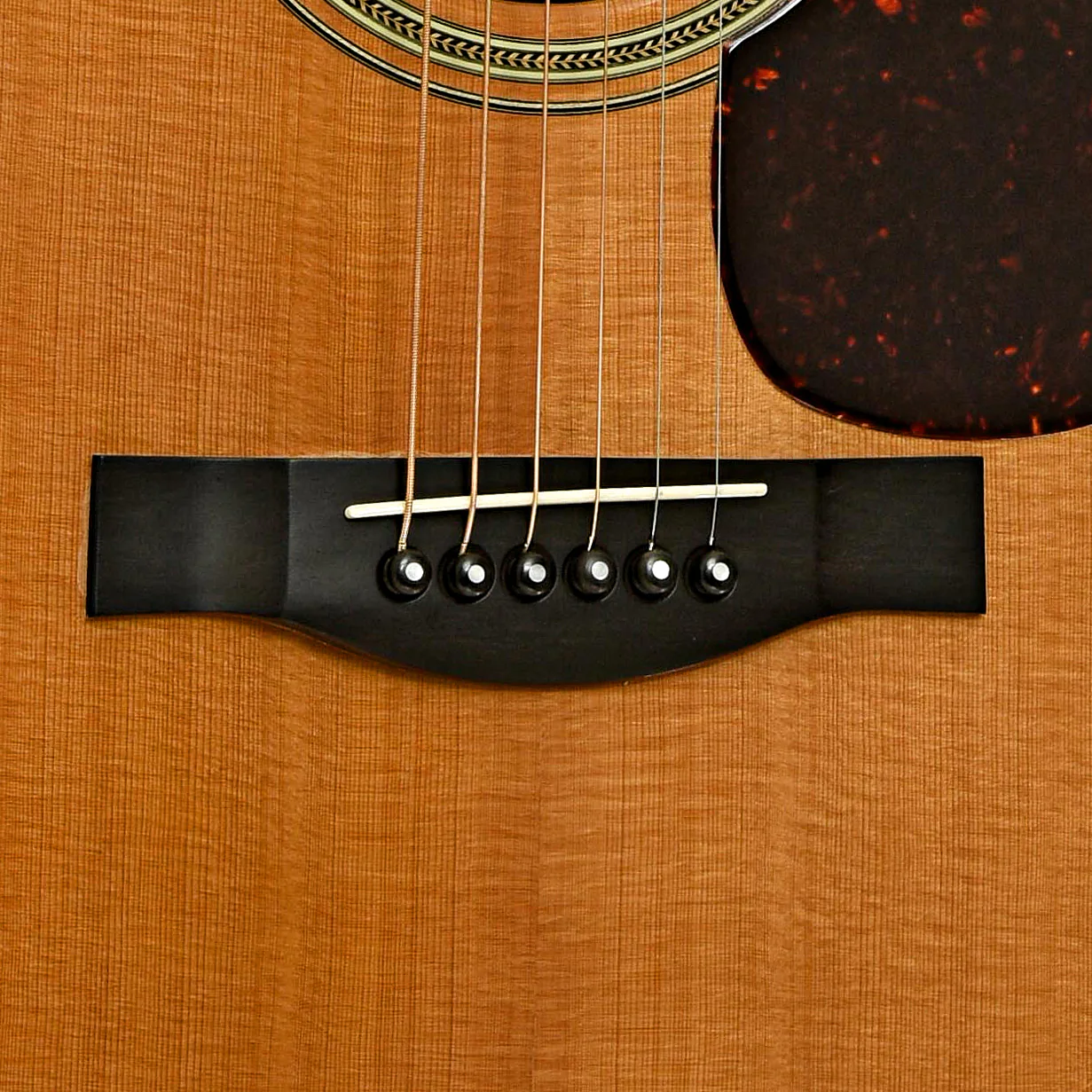 Santa Cruz Tony Rice Model D Acoustic Guitar (c.1997) - Image 5