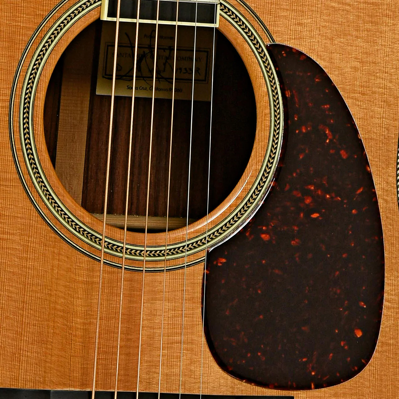 Santa Cruz Tony Rice Model D Acoustic Guitar (c.1997) - Image 6