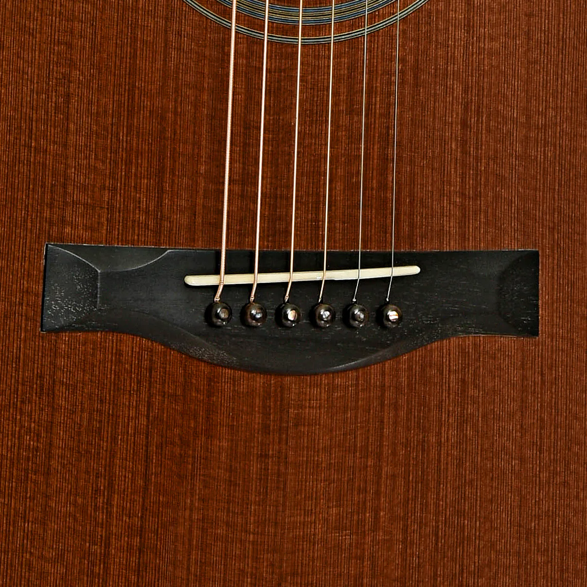 Santa Cruz Fingerstyle Acoustic Guitar (2022) - Image 5