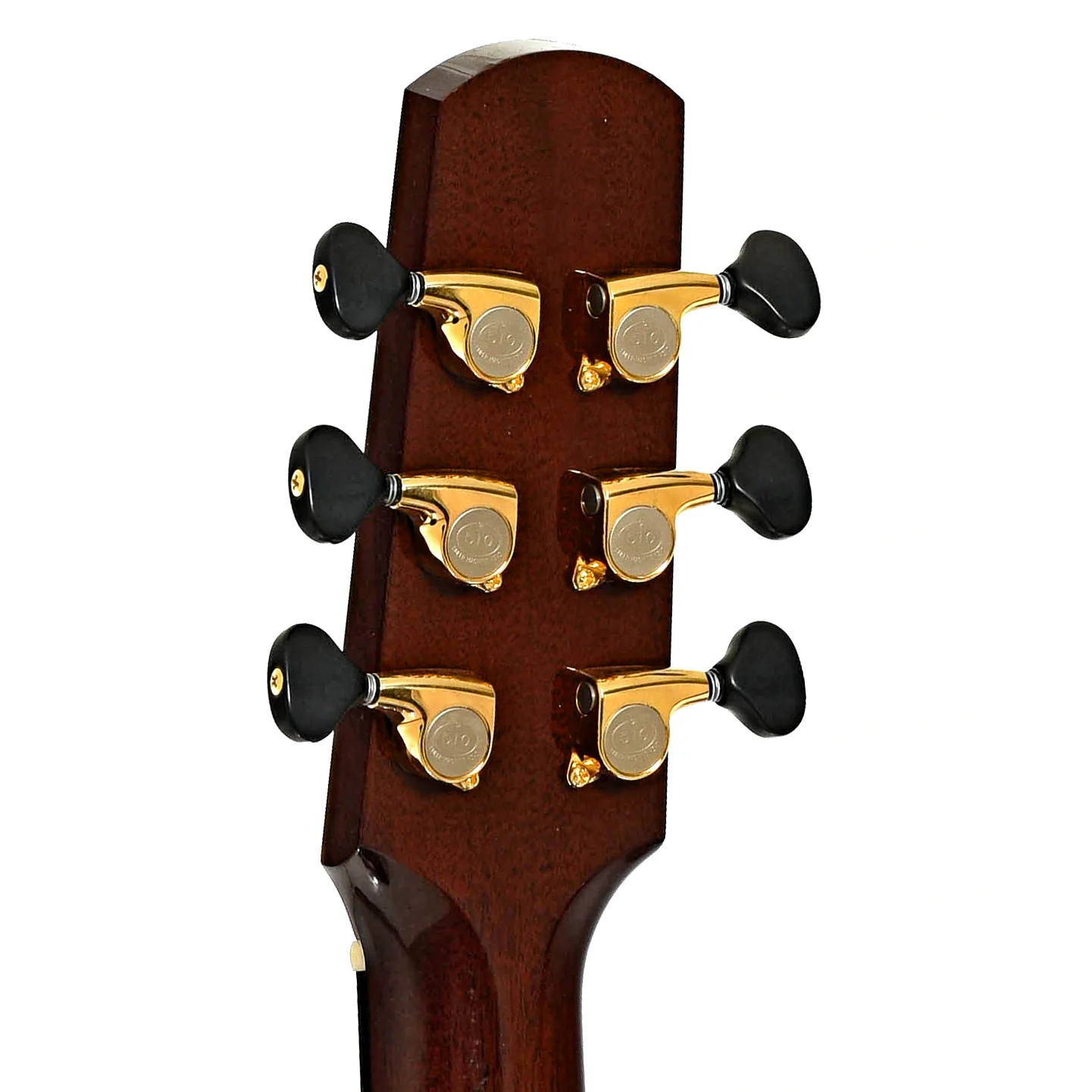 Santa Cruz Fingerstyle Acoustic Guitar (2022) - Image 9