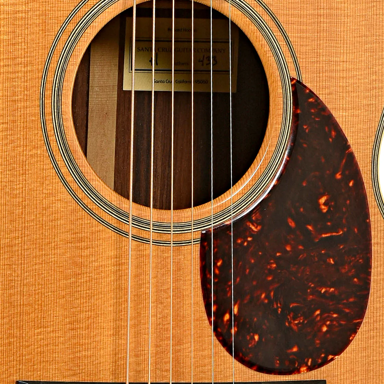Santa Cruz H Acoustic Guitar (1996) - Image 6