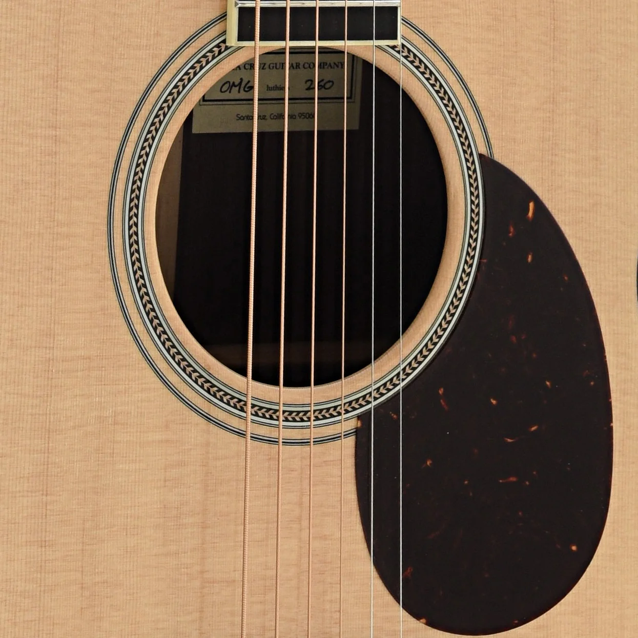 Santa Cruz Om Grand Guitar & Case - Image 4