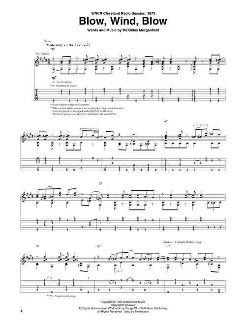 Selections from Rory Gallagher – Blues - Image 5