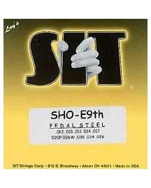 SIT Sho-E9TH Power Wound 10-String Pedal Steel Set - Image 3