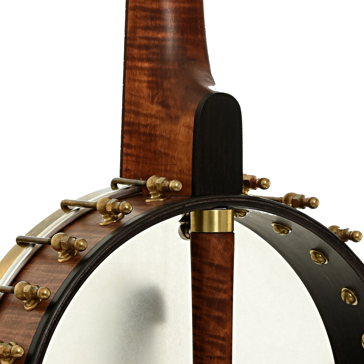 Starr Banjos 11" Openback Banjo & Gigbag, Curly Maple - Image 10