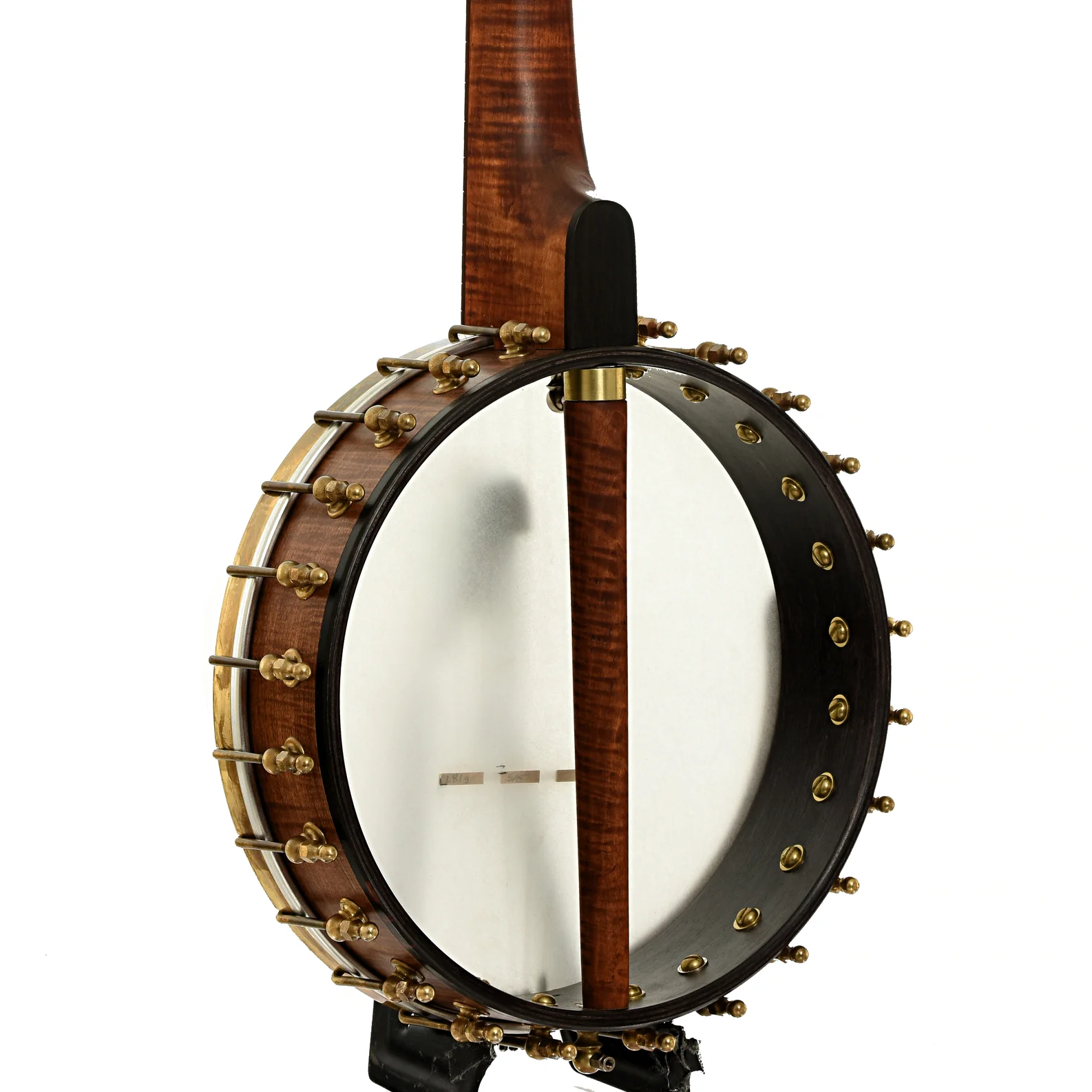 Starr Banjos 11" Openback Banjo & Gigbag, Curly Maple - Image 11