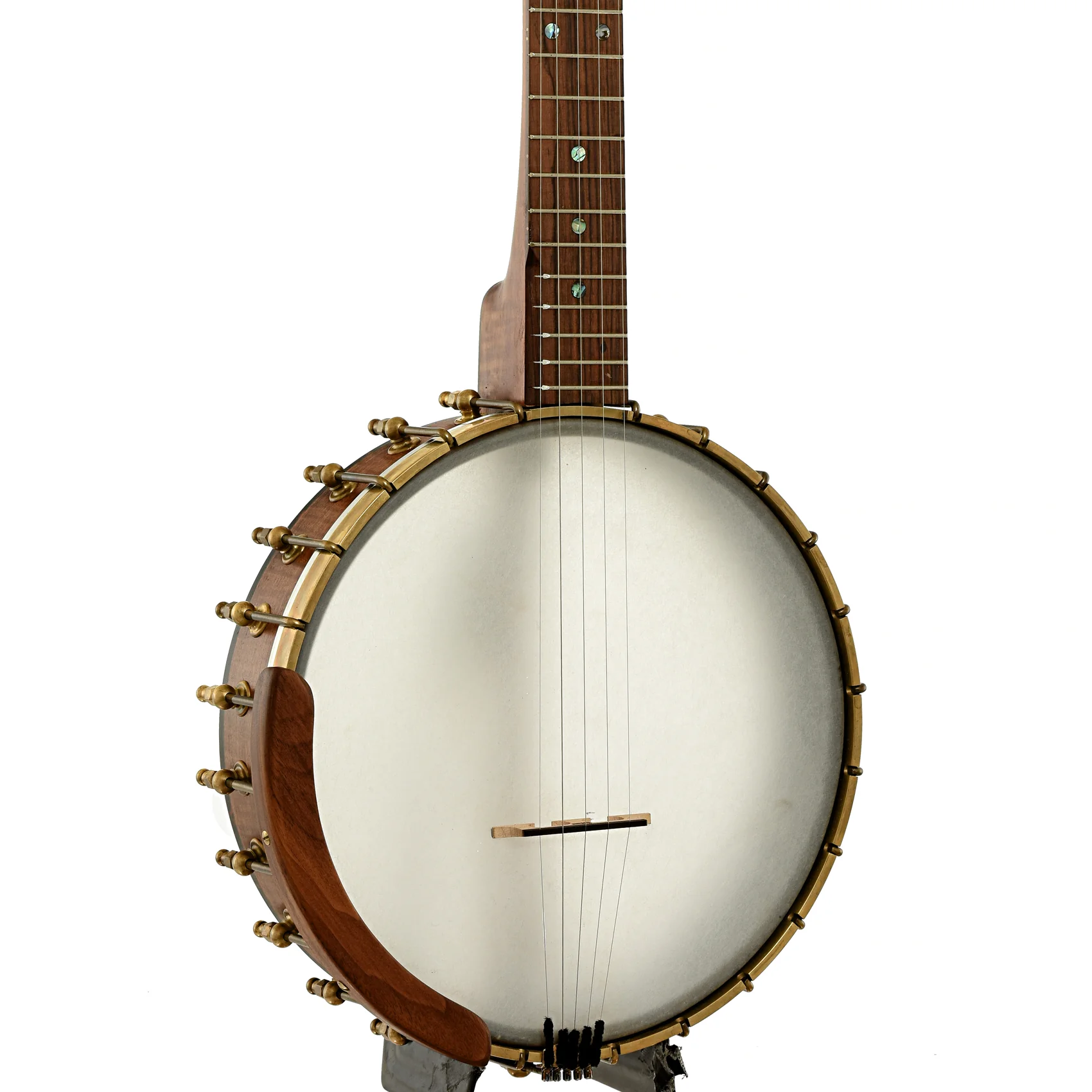 Starr Banjos 11" Openback Banjo & Gigbag, Curly Maple - Image 2
