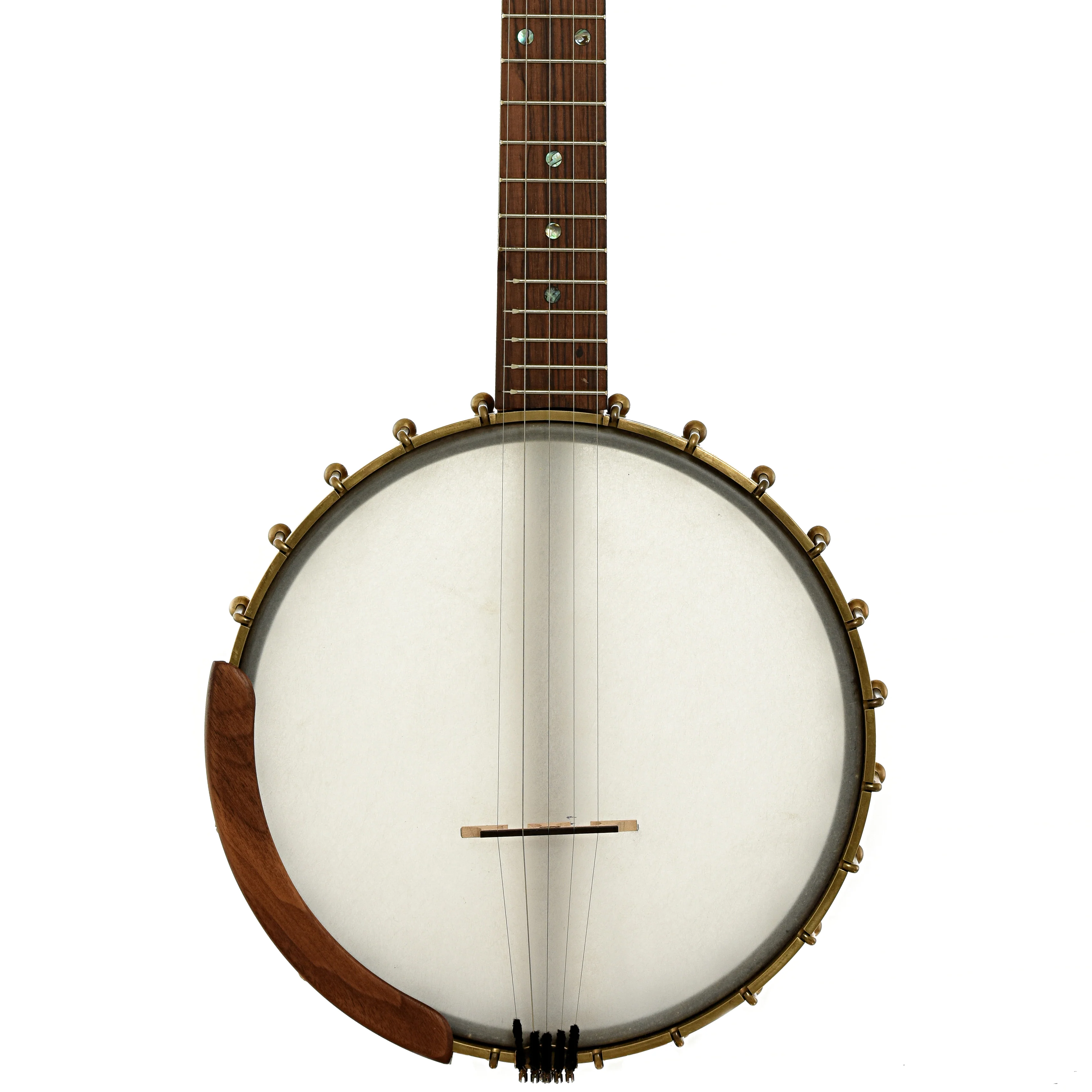 Starr Banjos 11" Openback Banjo & Gigbag, Curly Maple - Image 4