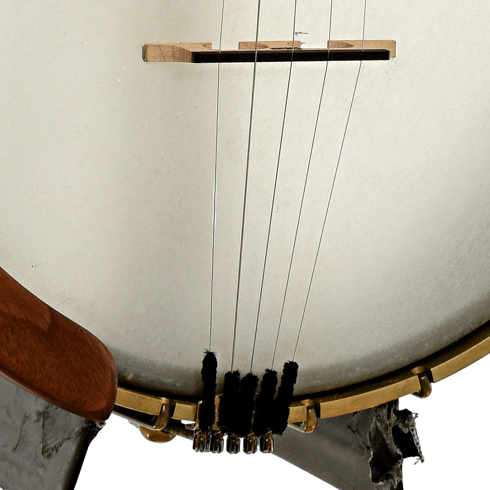 Starr Banjos 11" Openback Banjo & Gigbag, Curly Maple - Image 5