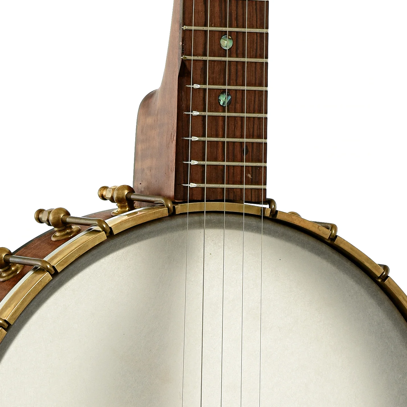 Starr Banjos 11" Openback Banjo & Gigbag, Curly Maple - Image 6