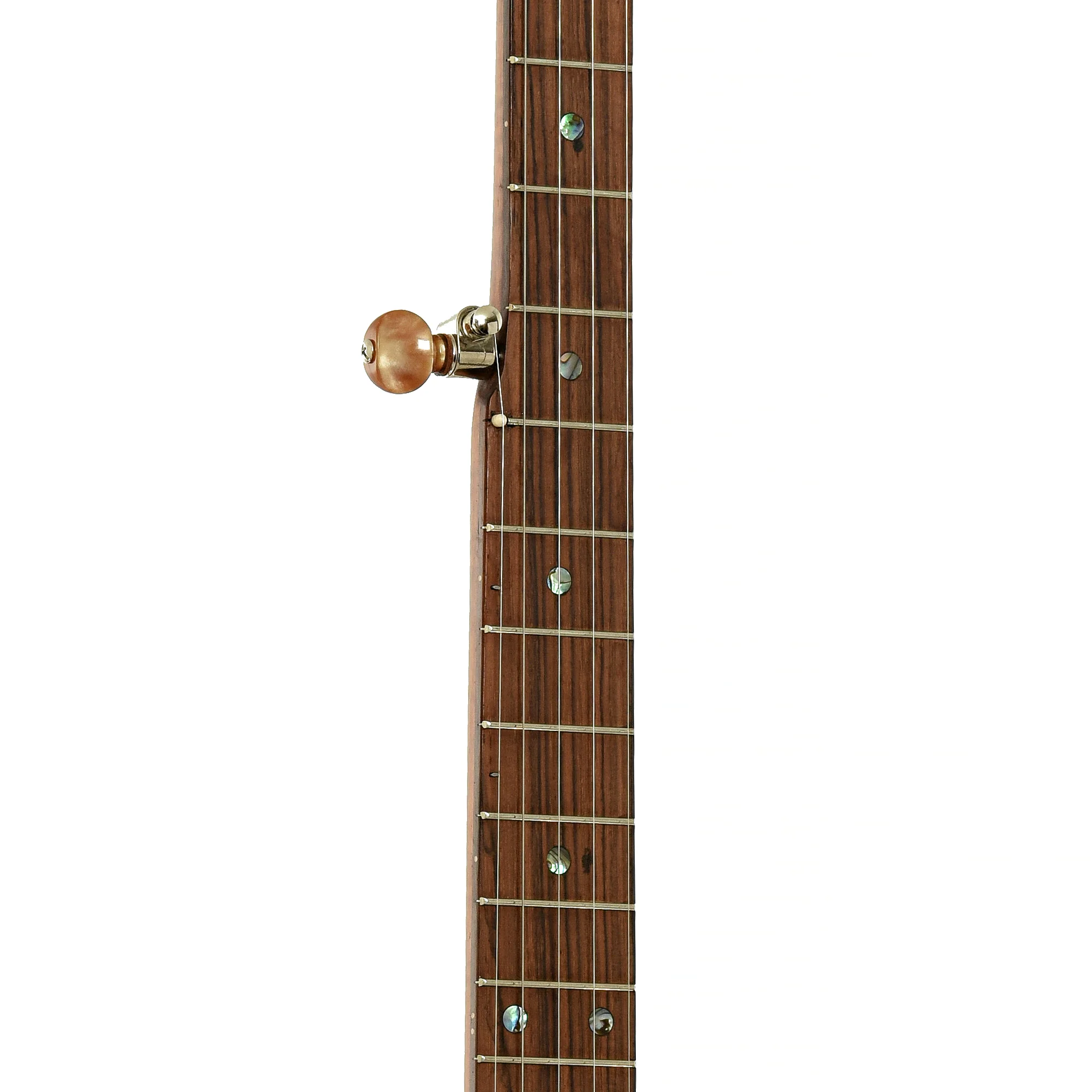 Starr Banjos 11" Openback Banjo & Gigbag, Curly Maple - Image 7