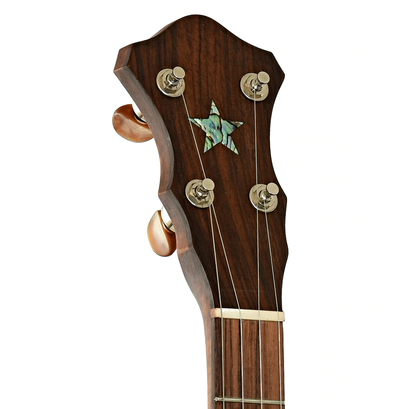 Starr Banjos 11" Openback Banjo & Gigbag, Curly Maple - Image 8