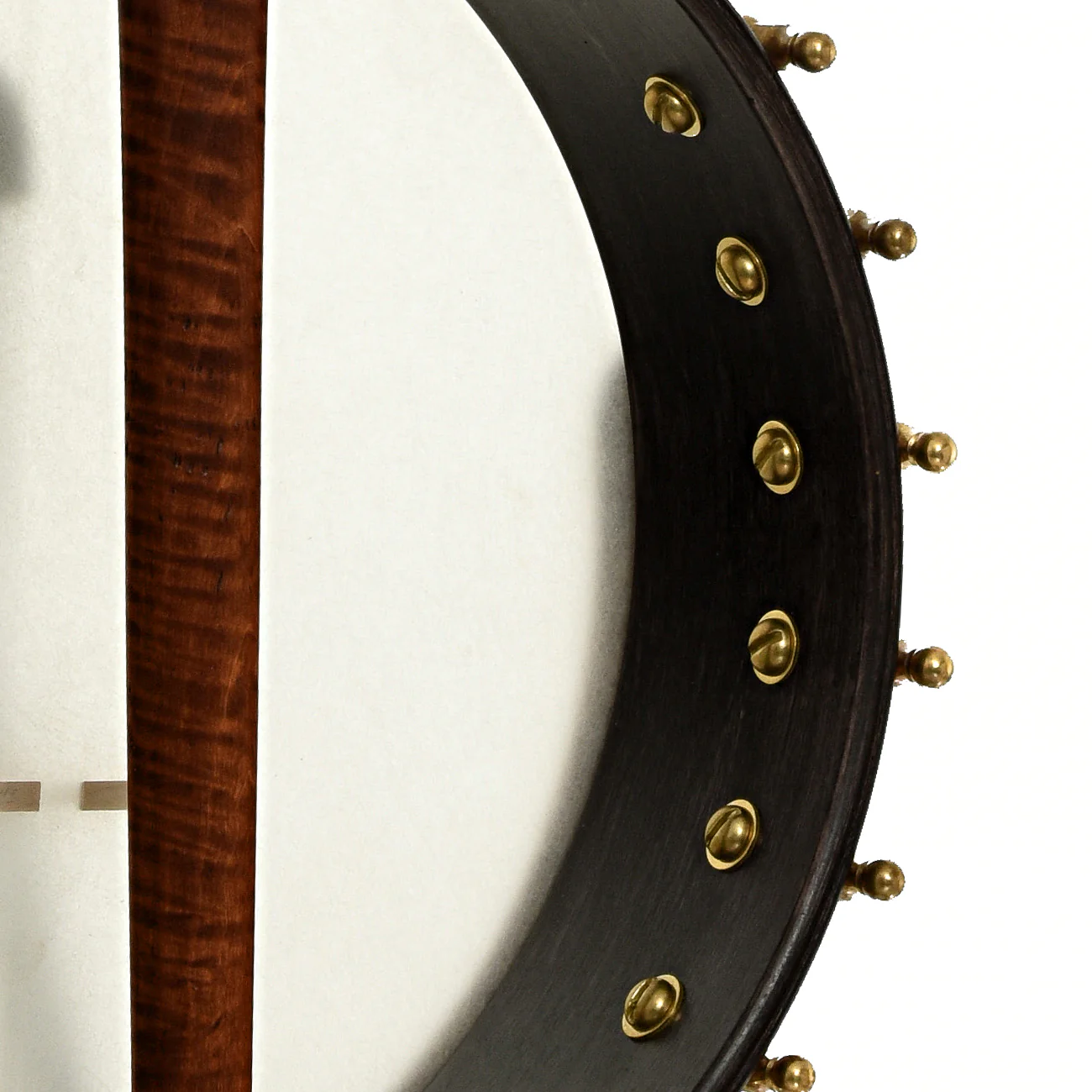 Starr Banjos 11" Openback Banjo & Gigbag, Curly Maple - Image 9