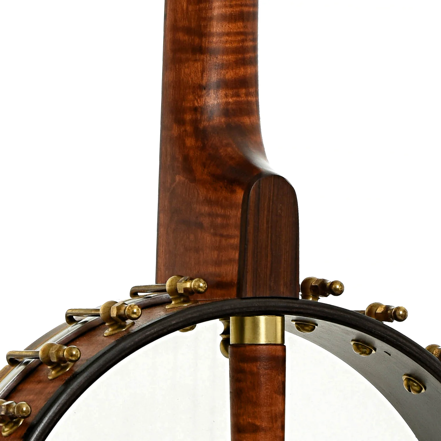 Starr Banjos 12" Open-back Banjo & Gigbag, Curly Maple - Image 10