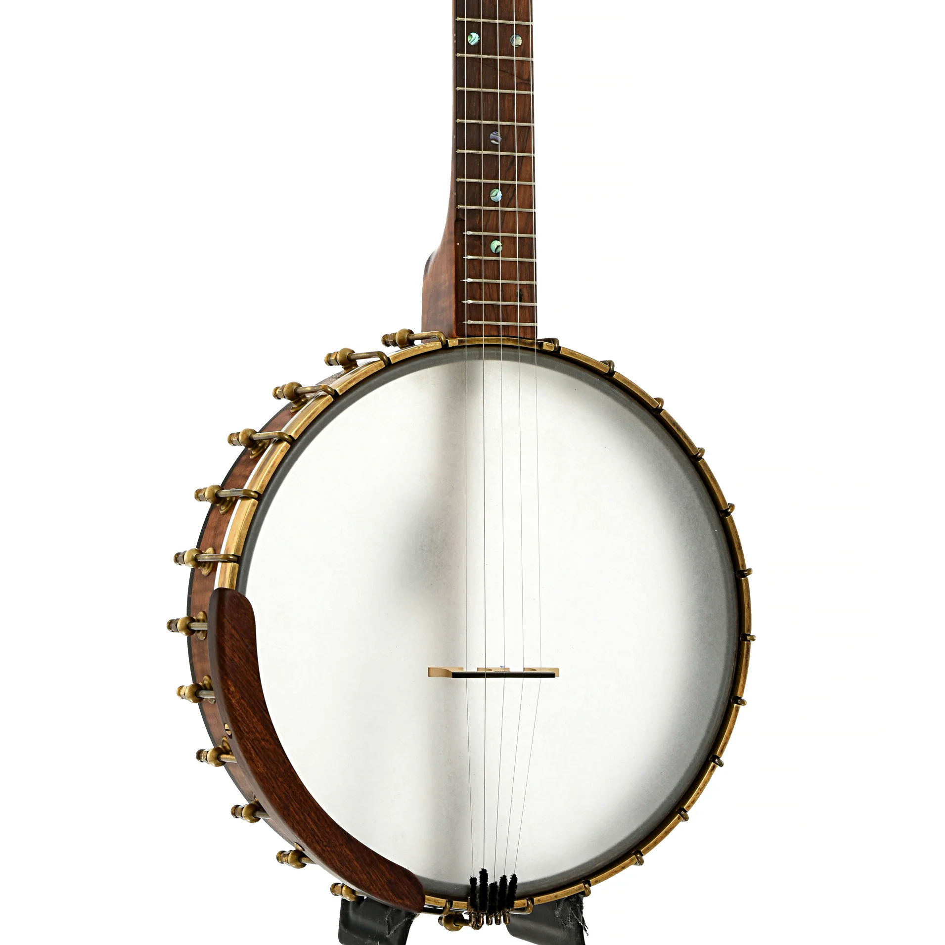 Starr Banjos 12" Open-back Banjo & Gigbag, Curly Maple - Image 2