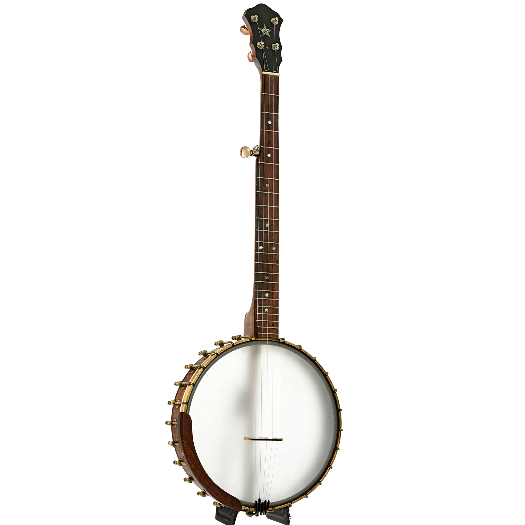 Starr Banjos 12" Open-back Banjo & Gigbag, Curly Maple - Image 3