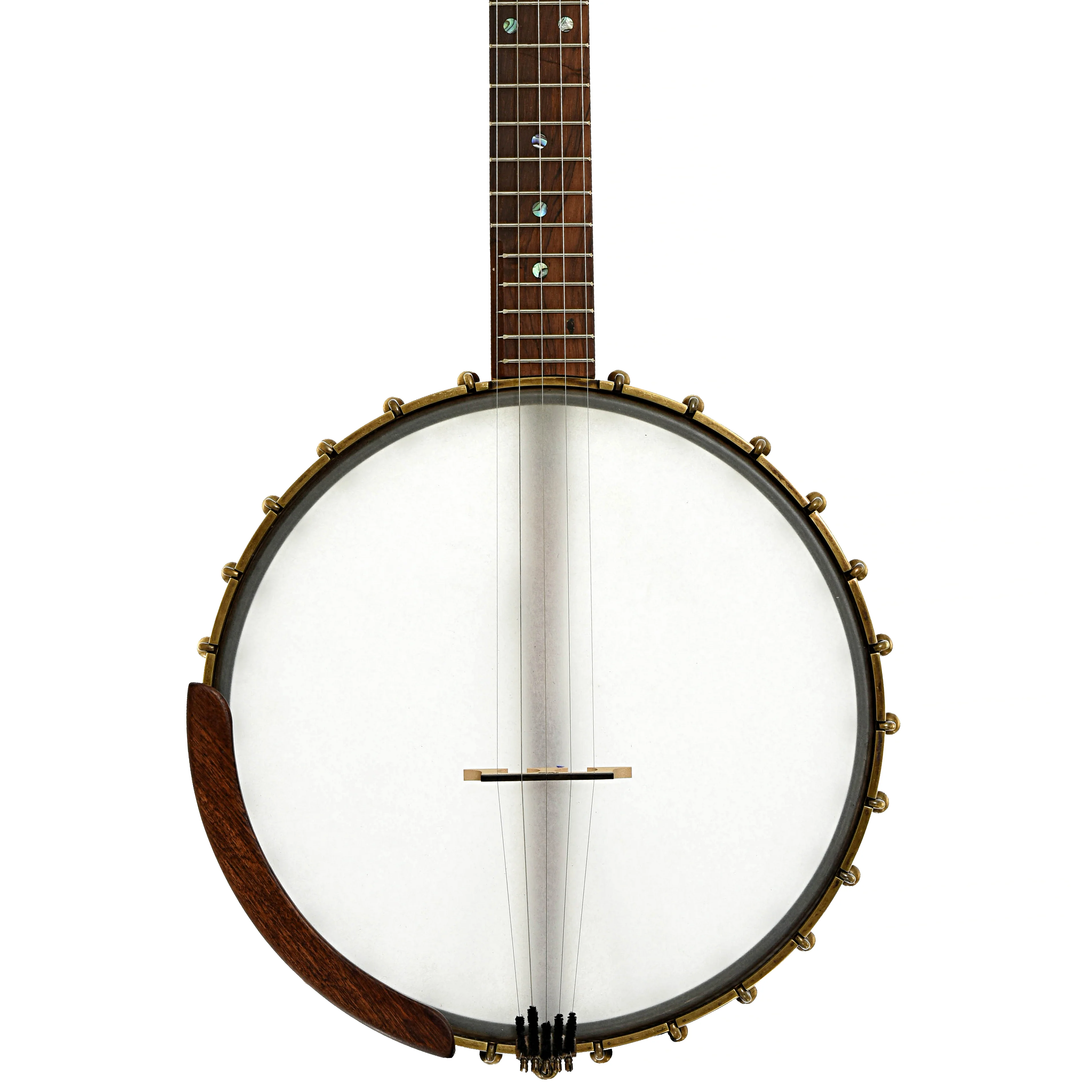 Starr Banjos 12" Open-back Banjo & Gigbag, Curly Maple - Image 4