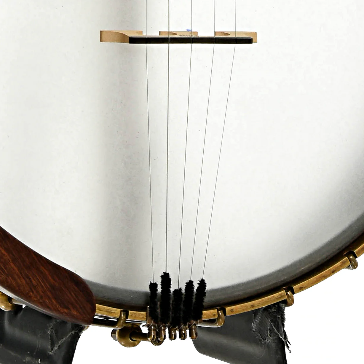 Starr Banjos 12" Open-back Banjo & Gigbag, Curly Maple - Image 5
