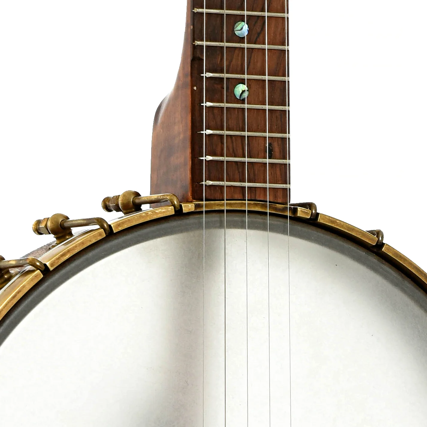 Starr Banjos 12" Open-back Banjo & Gigbag, Curly Maple - Image 6