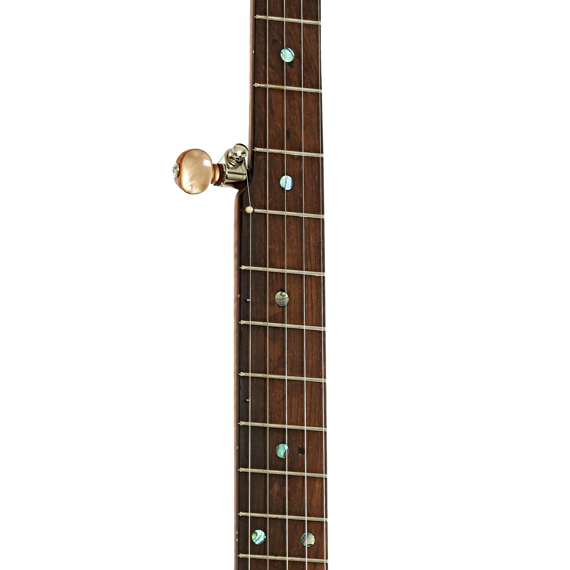 Starr Banjos 12" Open-back Banjo & Gigbag, Curly Maple - Image 7