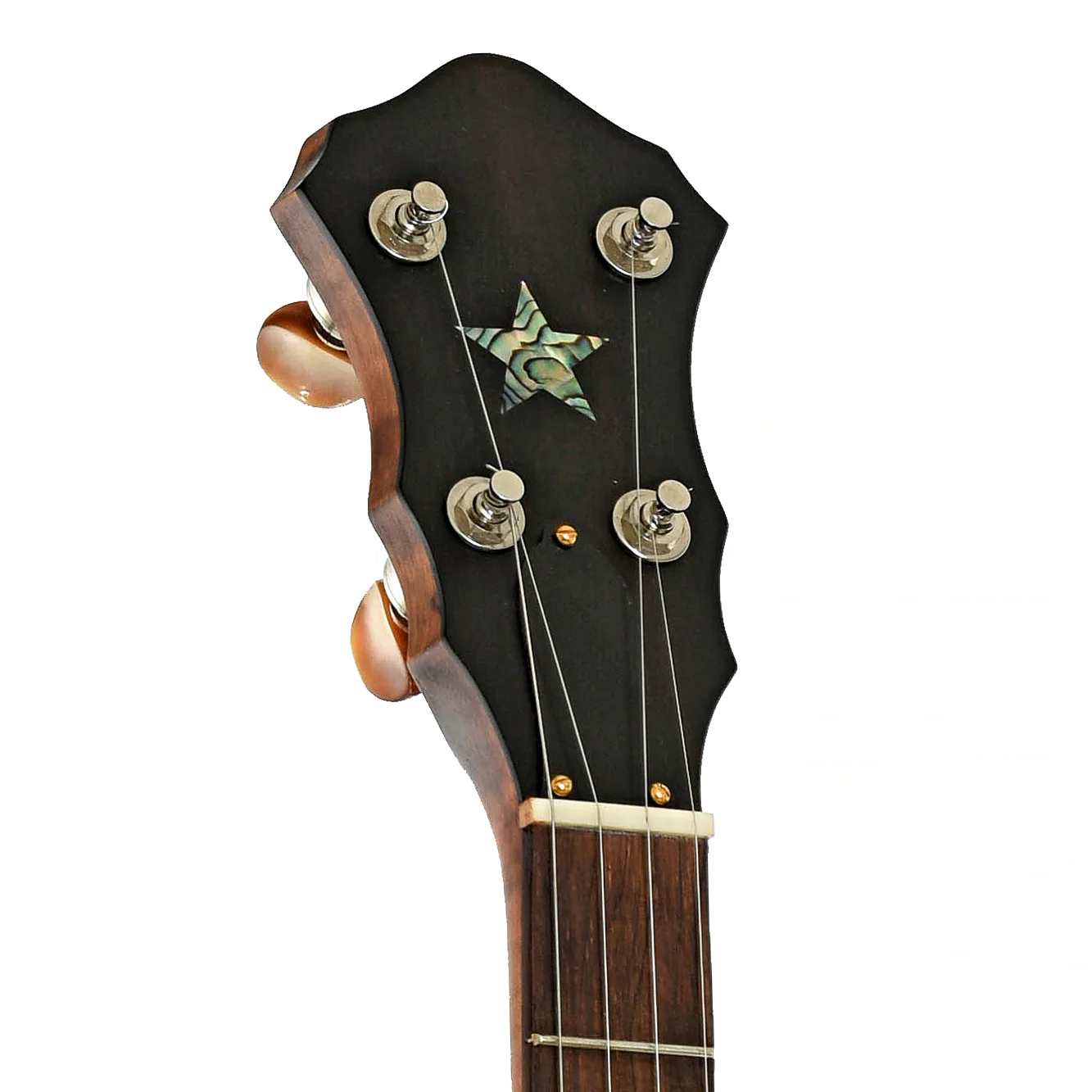 Starr Banjos 12" Open-back Banjo & Gigbag, Curly Maple - Image 8